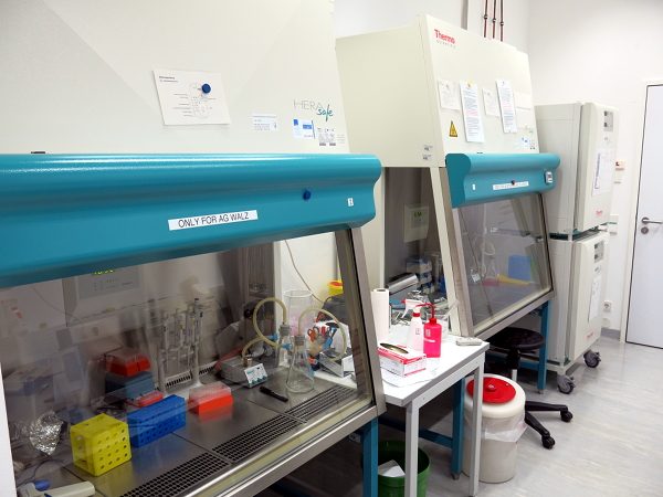 Cell Culture Lab – MIAP