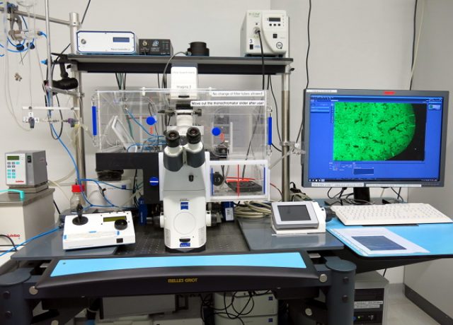 Imaging3_scale Imaging3_scale